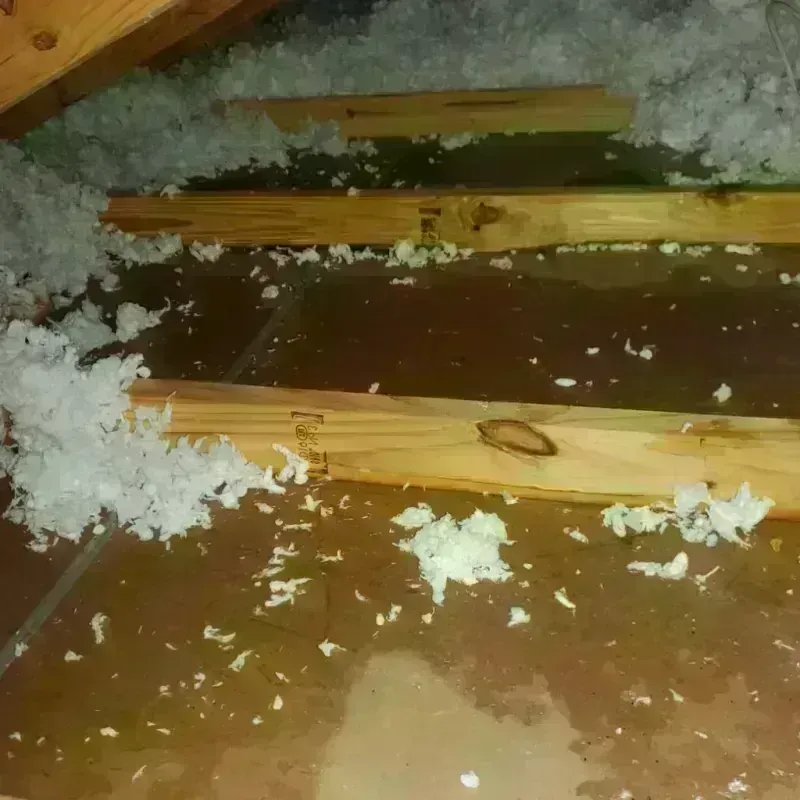 Attic Water Damage in Atlantic Beach, NC